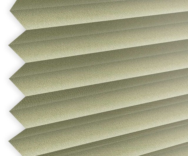 Trento Pleated Kemp 67010